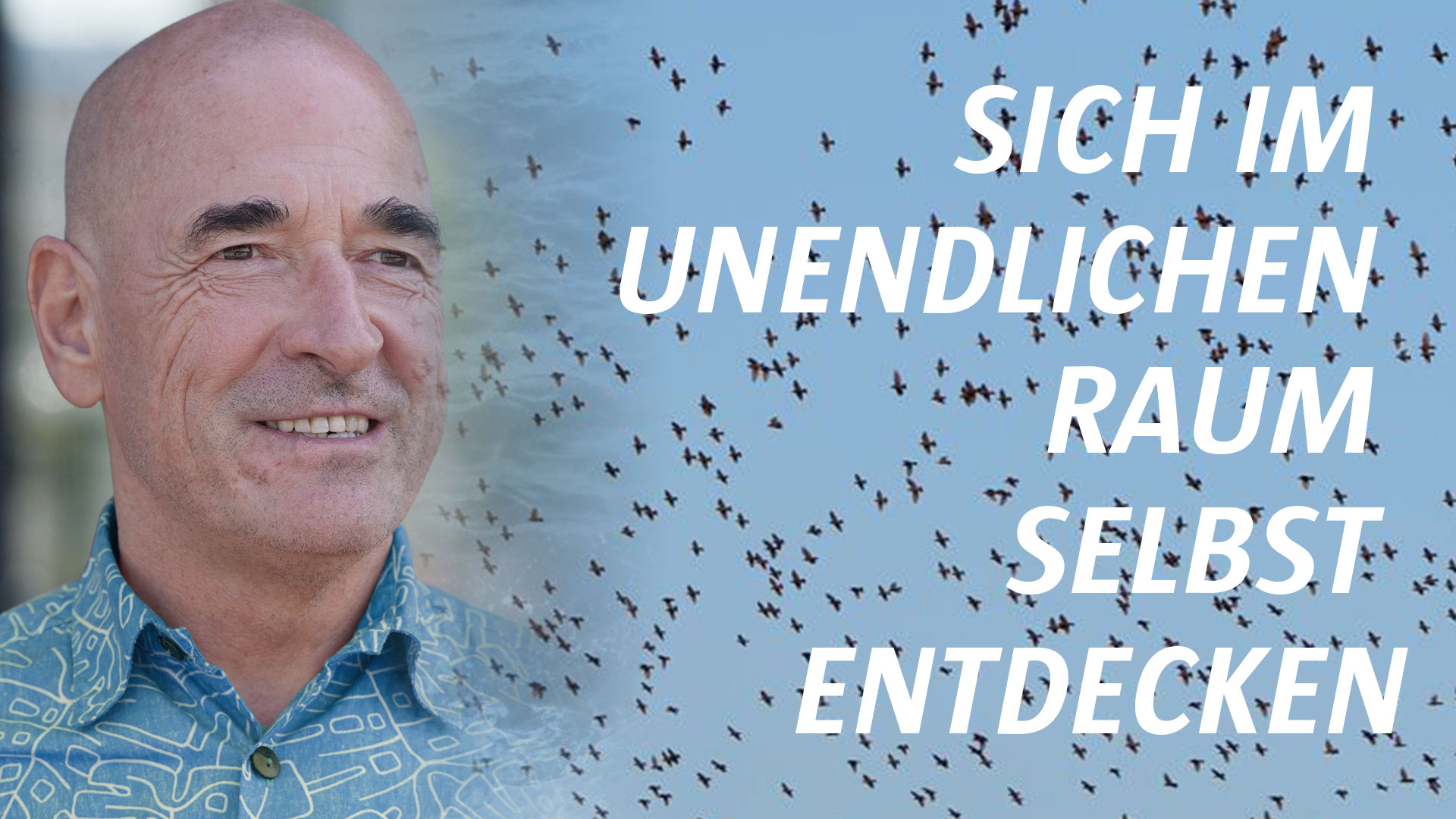 sich im unendlichen raum selbst entdecken birds